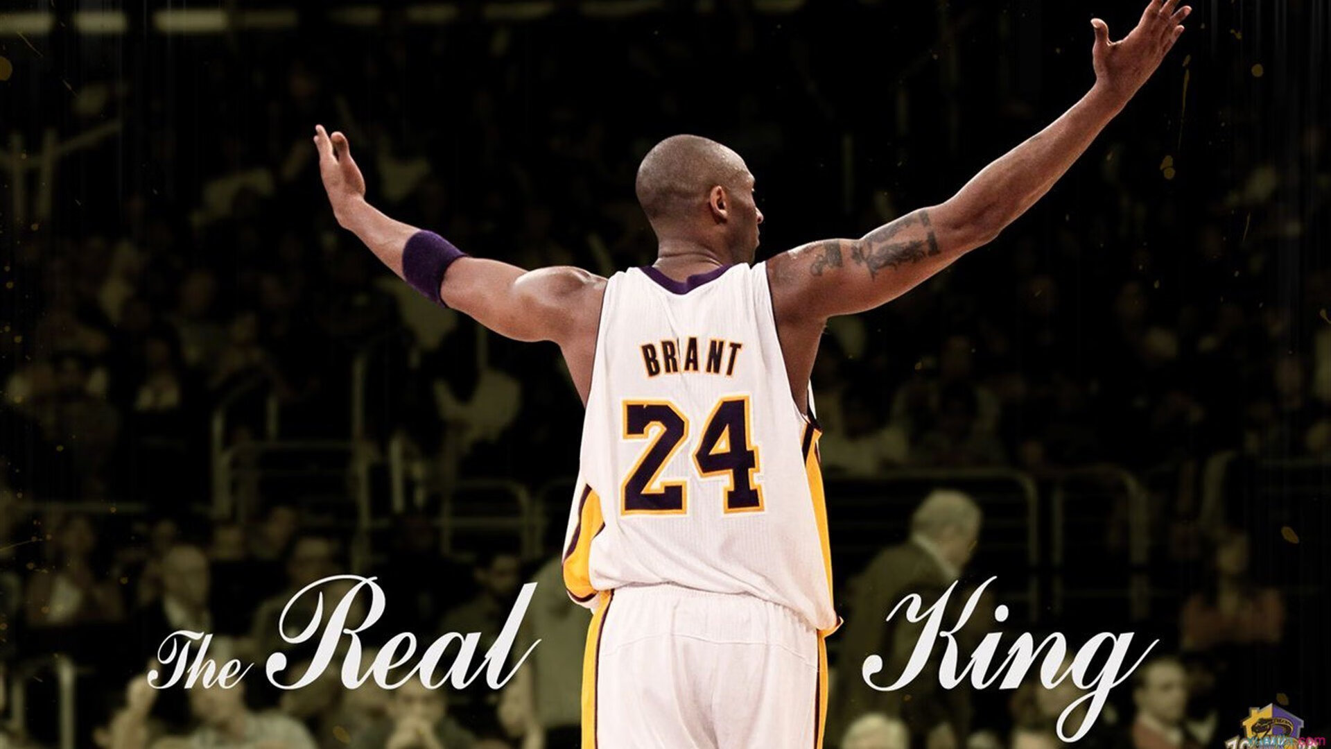 戈麦斯，当佛罗伦萨的文艺复兴，撞上美利坚的钢铁洪流