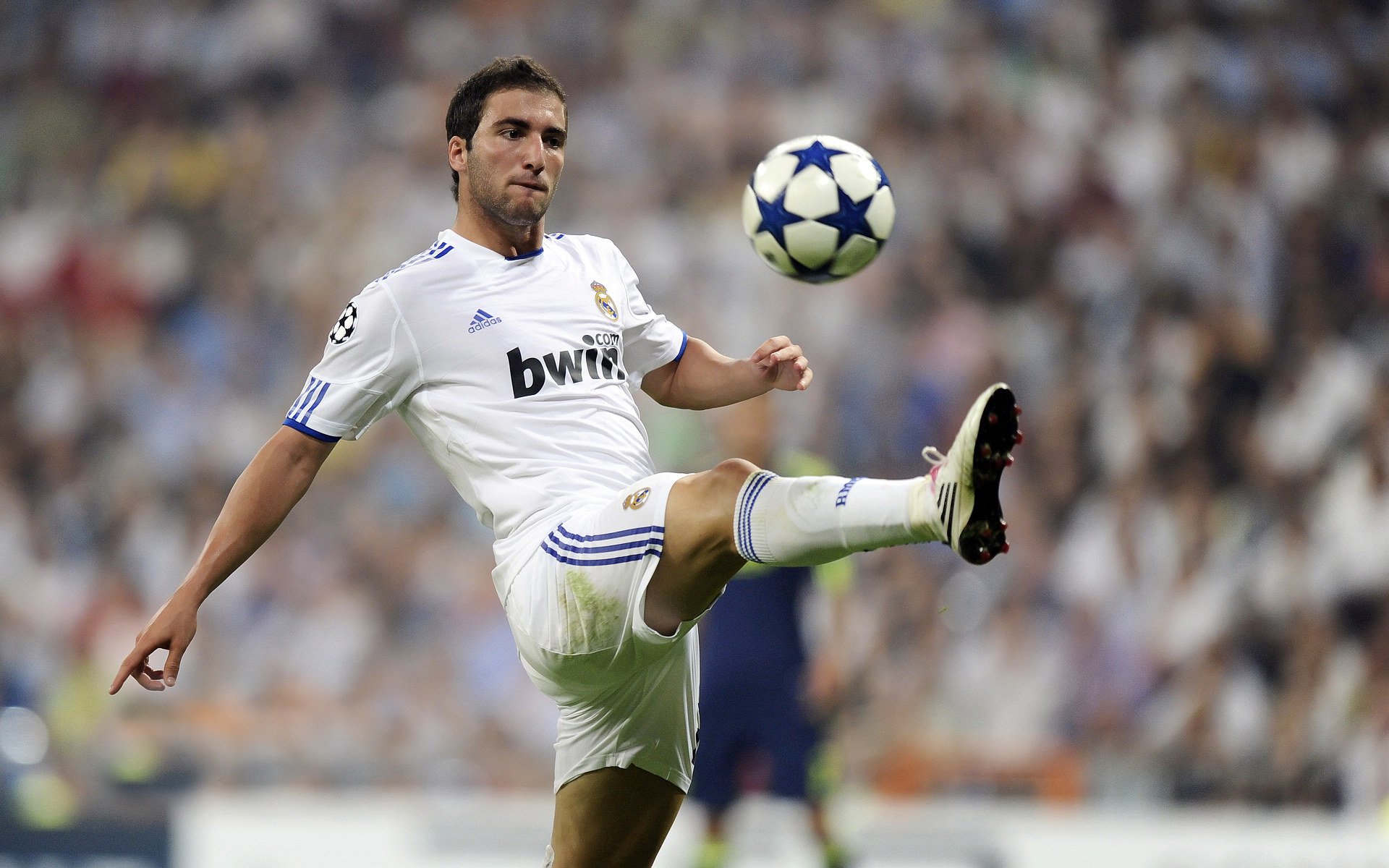 欧冠半决赛焦点战，阿尔及利亚节奏掌控荷兰，足球智慧颠覆传统强权