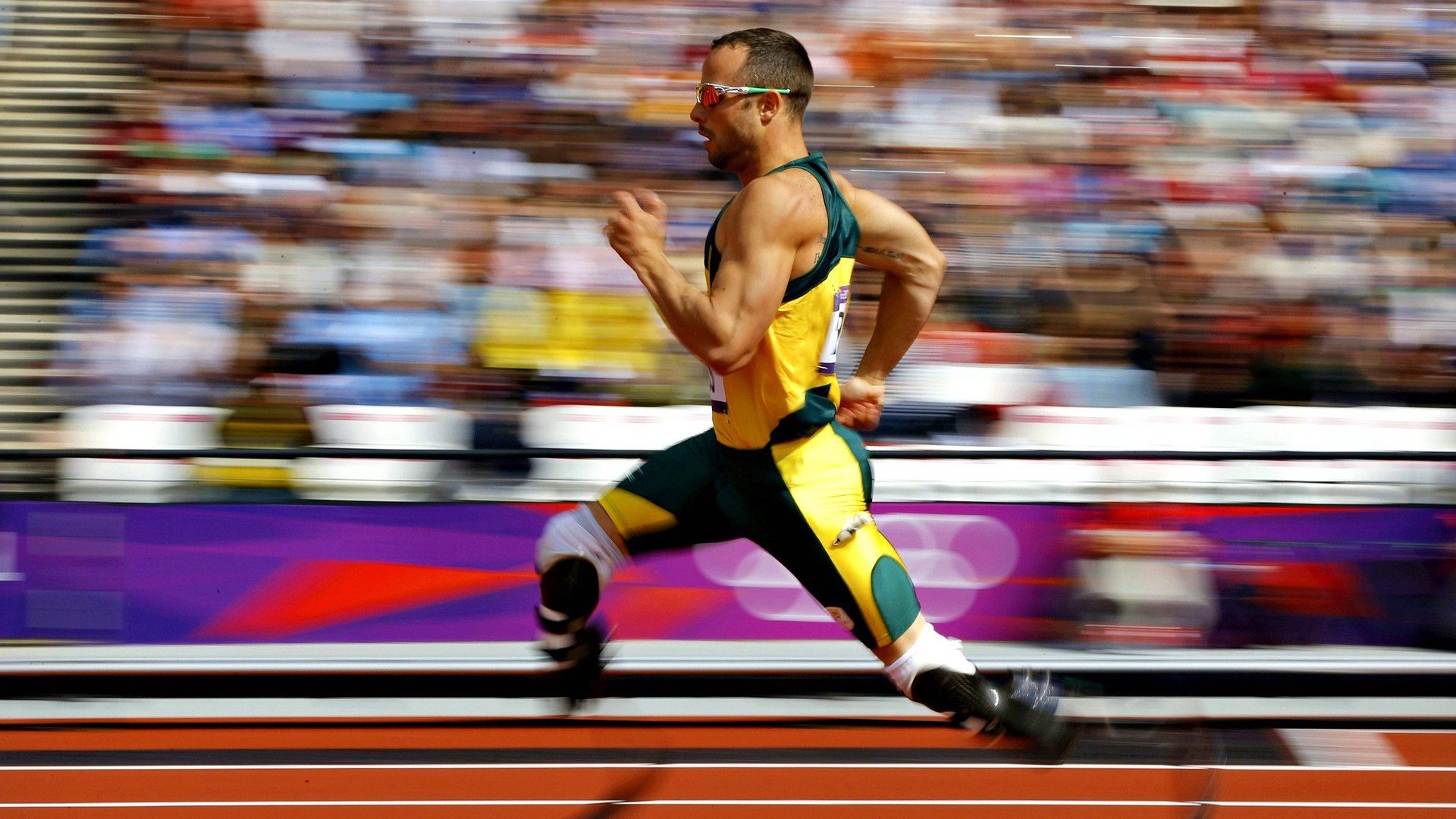 霍勒迪的无声交响，当老鹰的利爪拨动雄鹿的齿轮